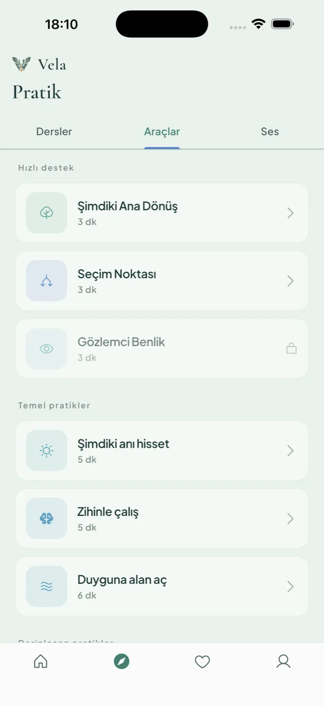 Vela — Pratik ekranı