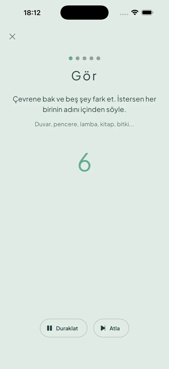 Vela — Odak ekranı